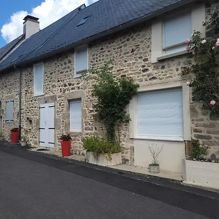 Les Forsythias Messeix